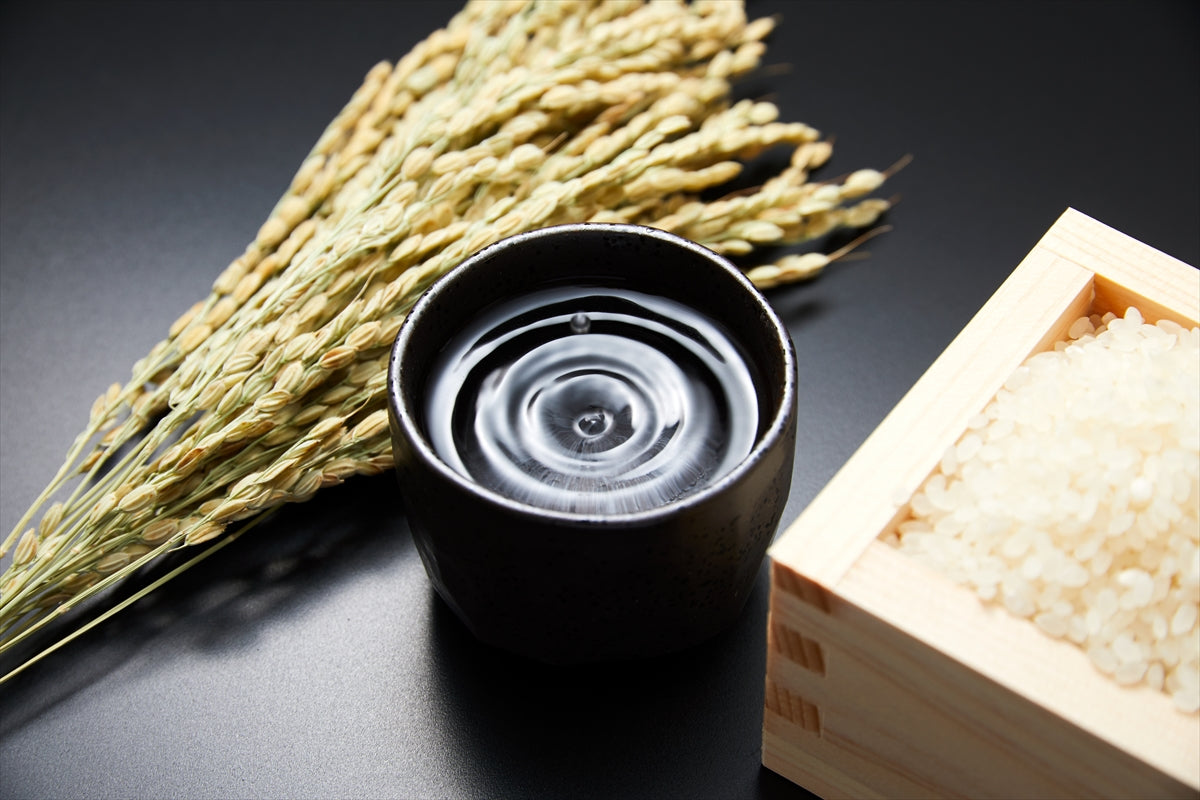 日本酒の「生酛造り」とは。特徴とおいしい楽しみ方をご紹介